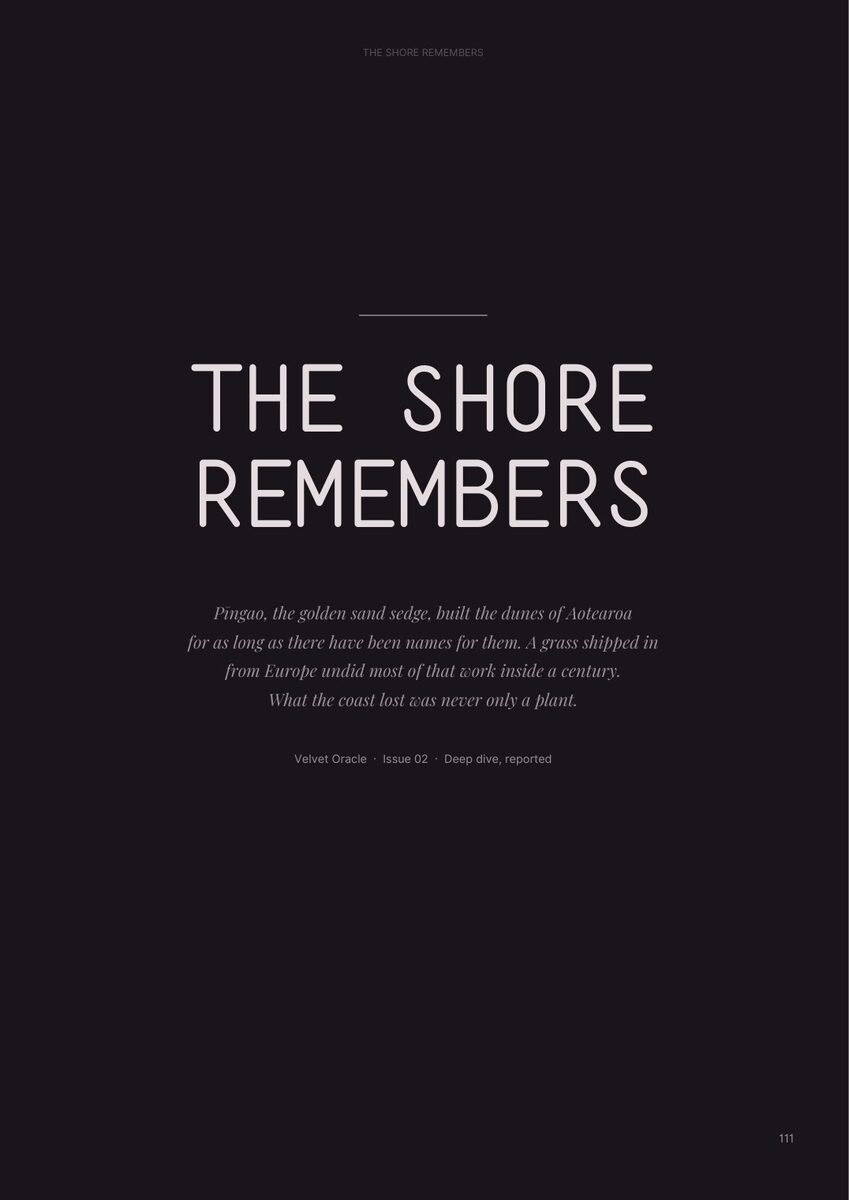 Header image for the shore remembers