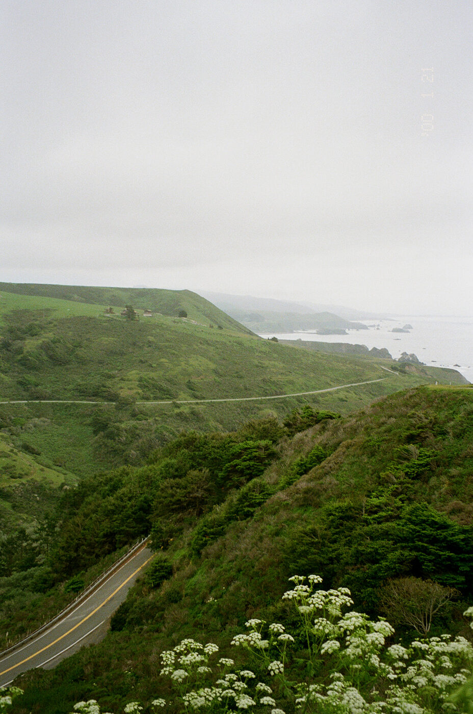 Point and shoot, frame 03 — photograph by Pascale Arahia