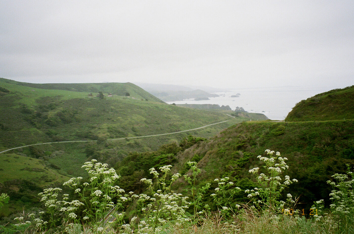 Point and shoot, frame 04 — photograph by Pascale Arahia