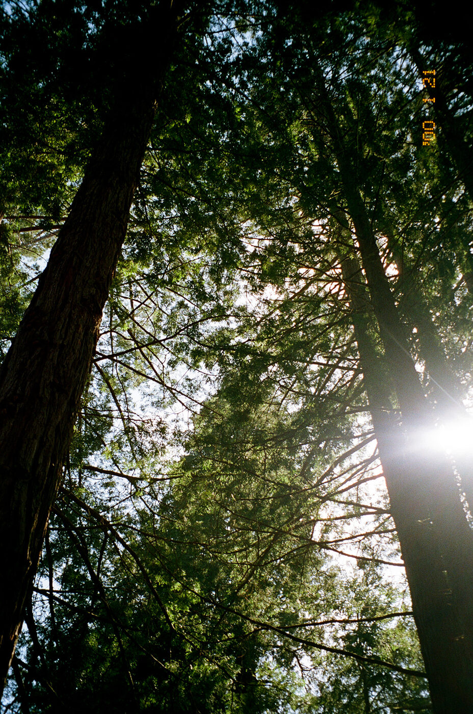 Point and shoot, frame 06 — photograph by Pascale Arahia