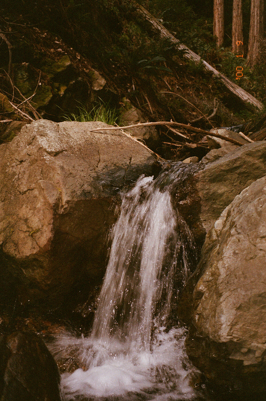 Point and shoot, frame 07 — photograph by Pascale Arahia