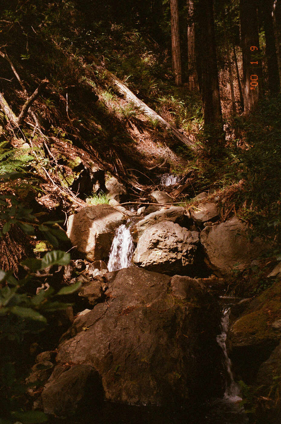 Point and shoot, frame 09 — photograph by Pascale Arahia
