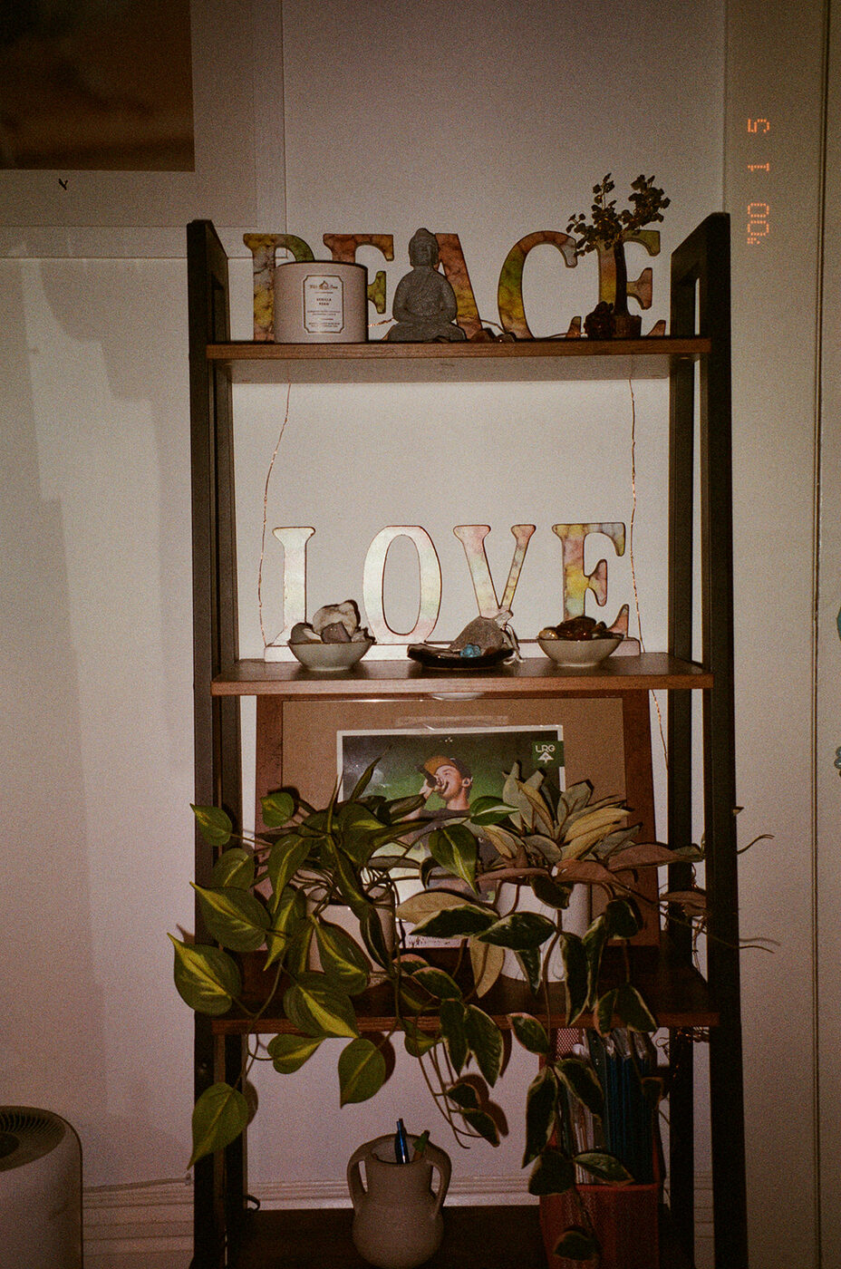 Point and shoot, frame 10 — photograph by Pascale Arahia