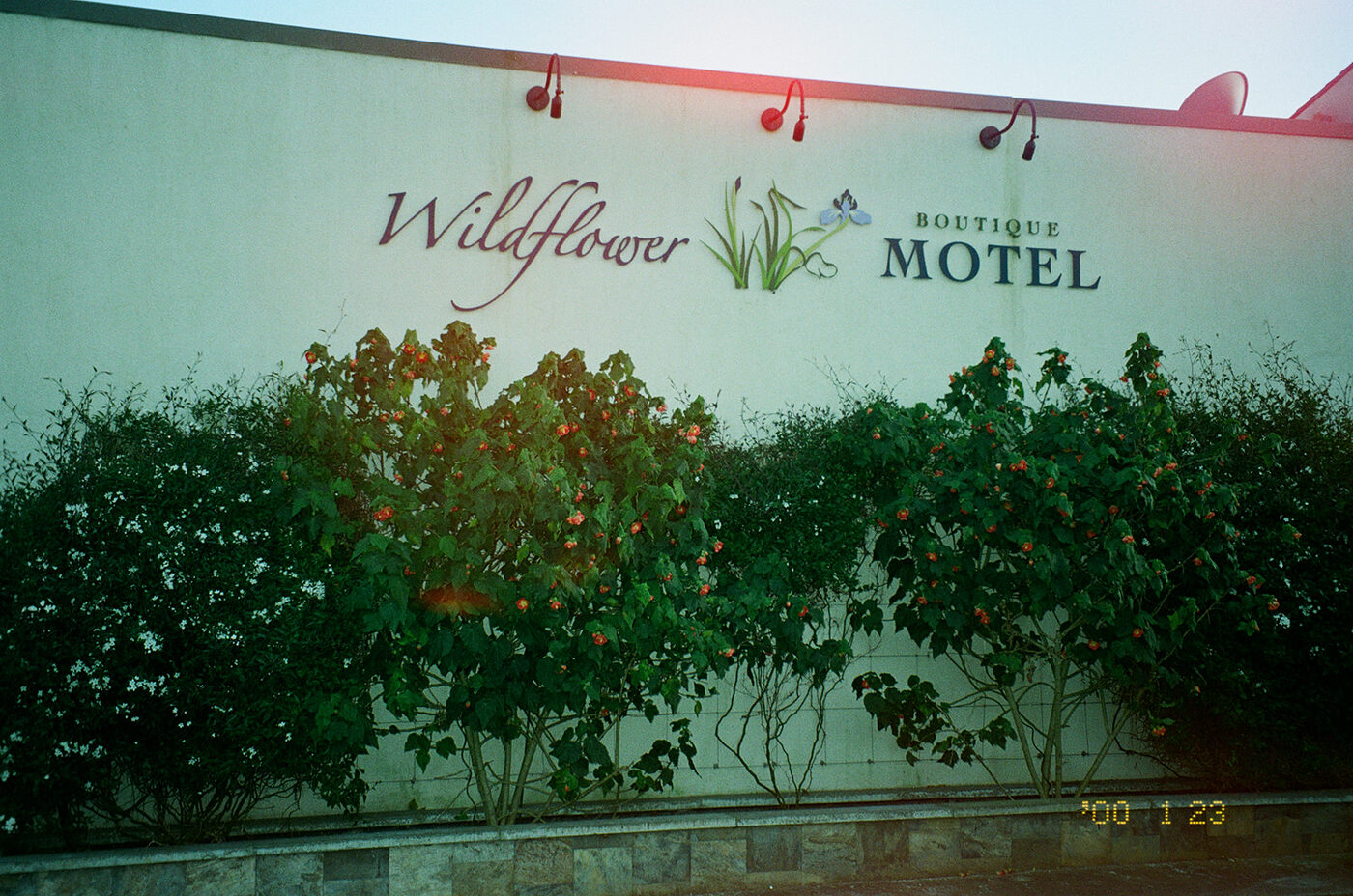 Point and shoot, frame 13 — photograph by Pascale Arahia
