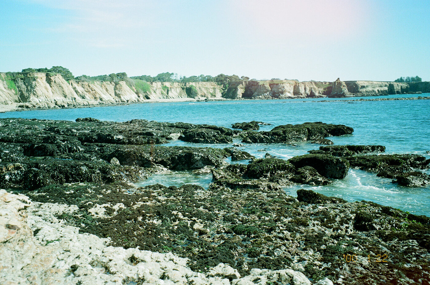 point and shoot — photograph by Pascale Arahia
