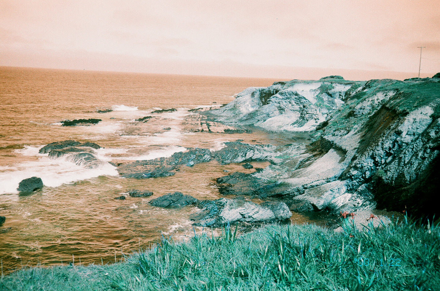 Point and shoot, frame 19 — photograph by Pascale Arahia