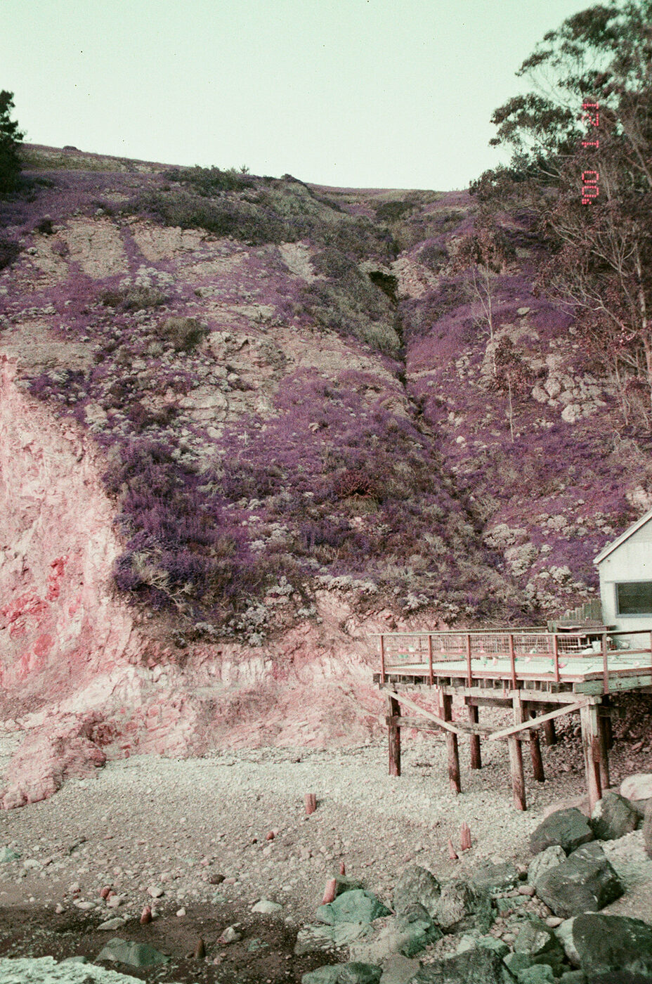 Point and shoot, frame 23 — photograph by Pascale Arahia