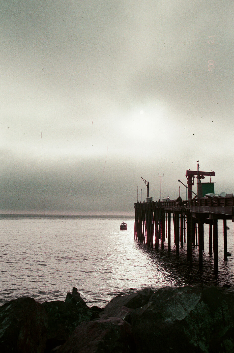 Point and shoot, frame 25 — photograph by Pascale Arahia
