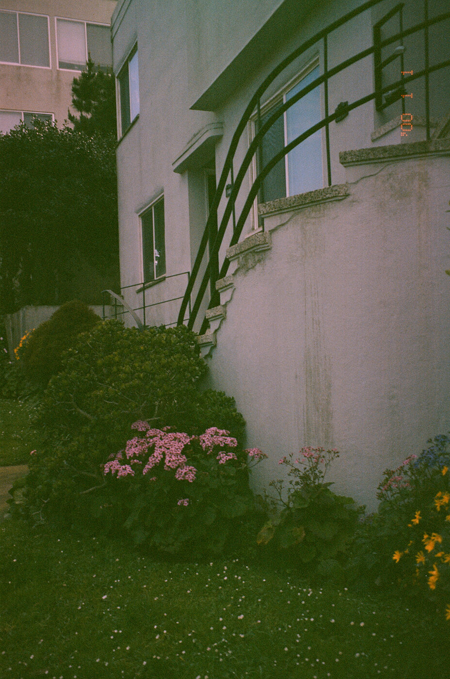 Point and shoot, frame 27 — photograph by Pascale Arahia