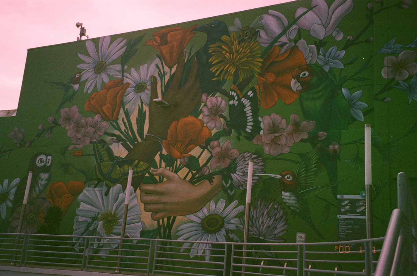 Point and shoot, frame 30 — photograph by Pascale Arahia