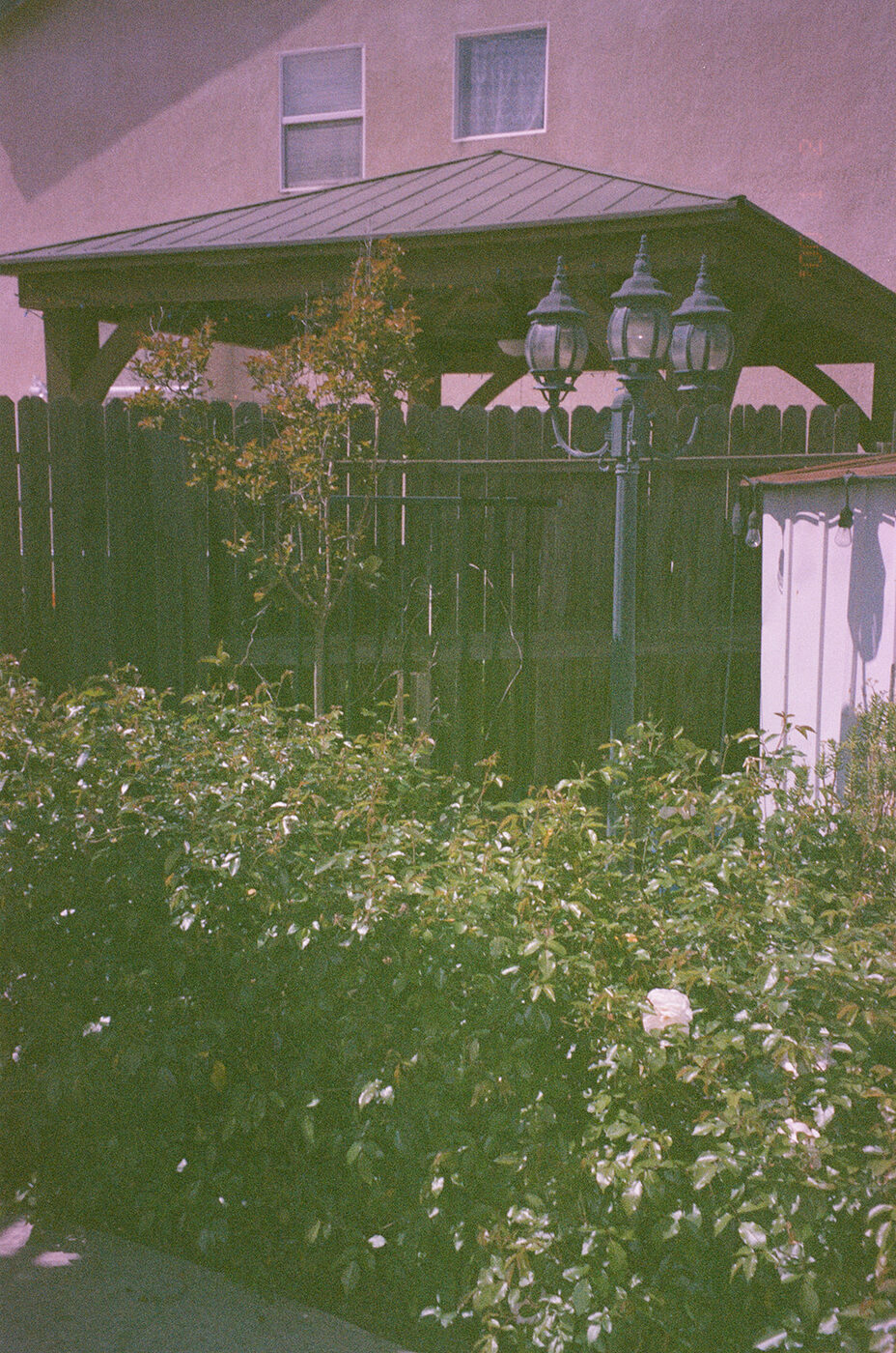 Point and shoot, frame 31 — photograph by Pascale Arahia