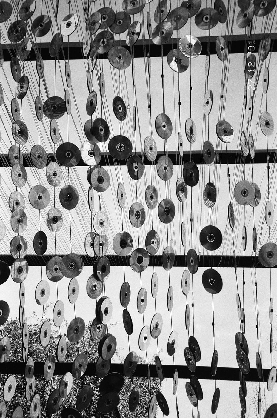 Point and shoot, frame 42 — photograph by Pascale Arahia