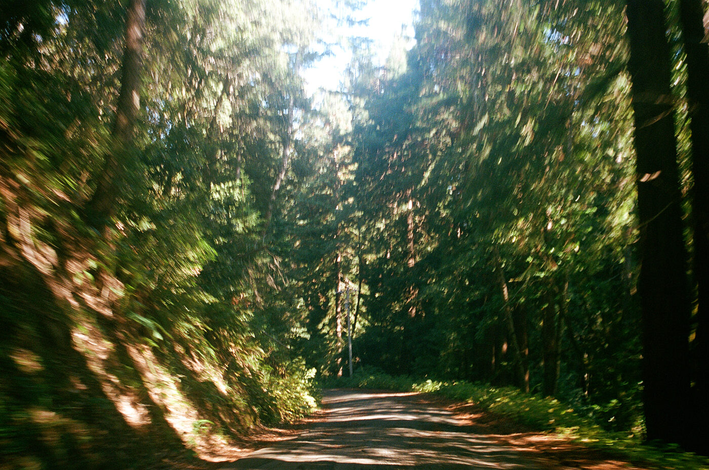 Point and shoot, frame 46 — photograph by Pascale Arahia