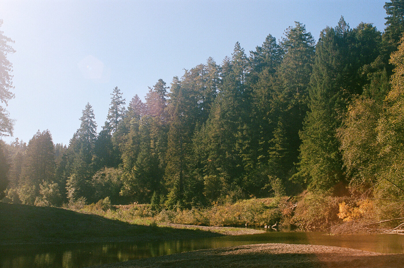 Point and shoot, frame 47 — photograph by Pascale Arahia