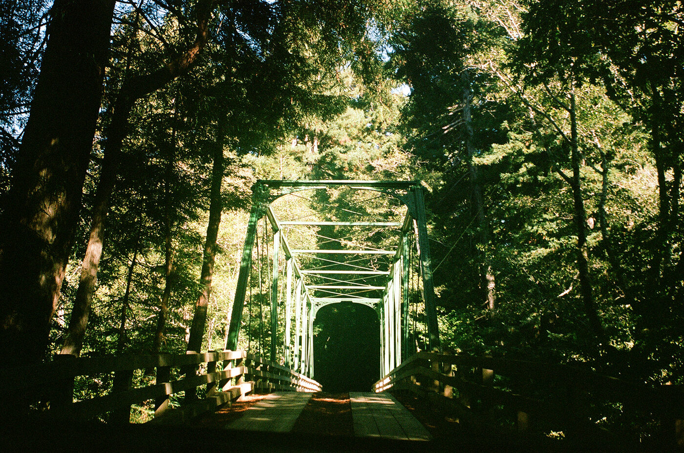Point and shoot, frame 48 — photograph by Pascale Arahia