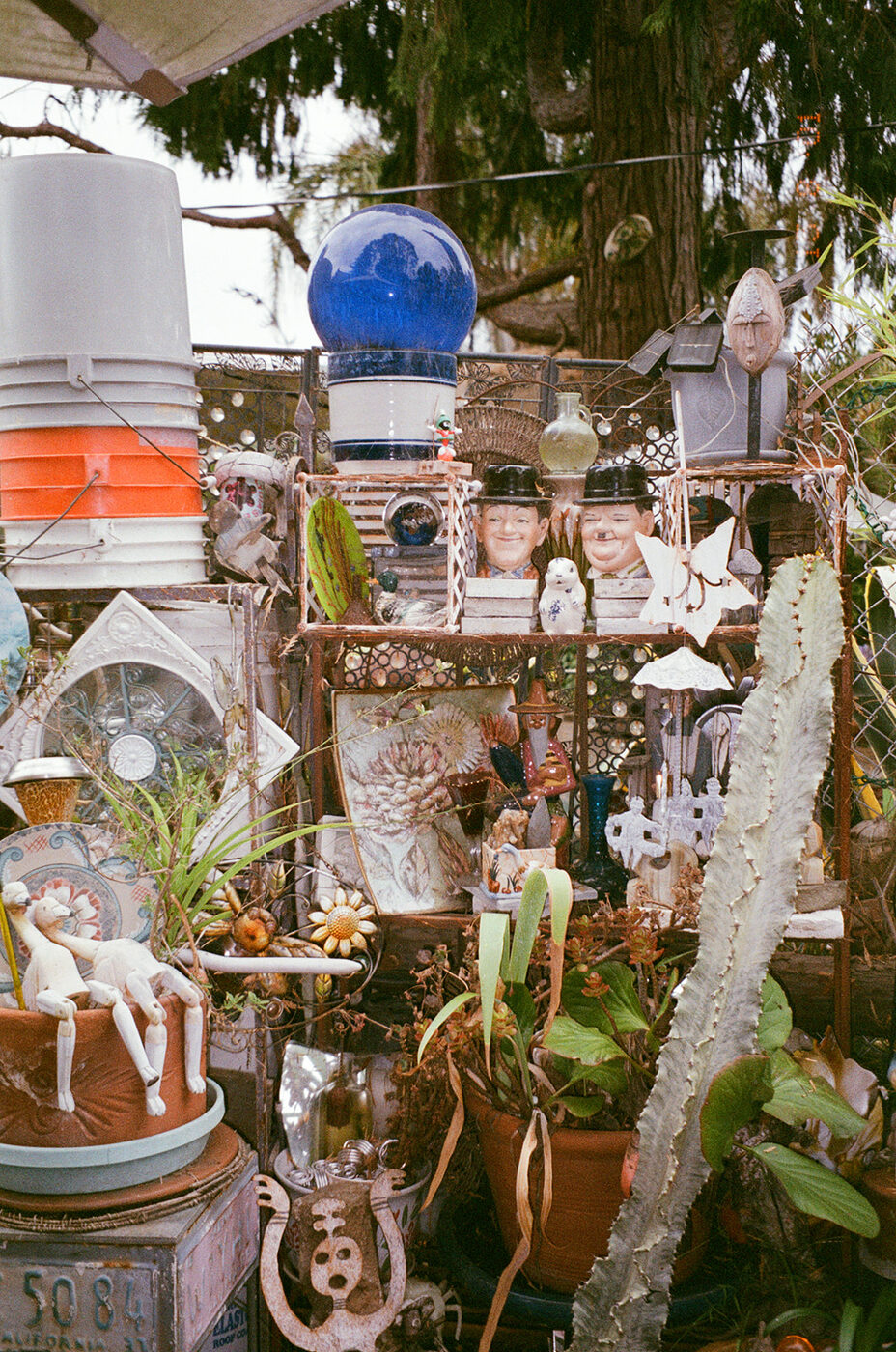 Point and shoot, frame 50 — photograph by Pascale Arahia