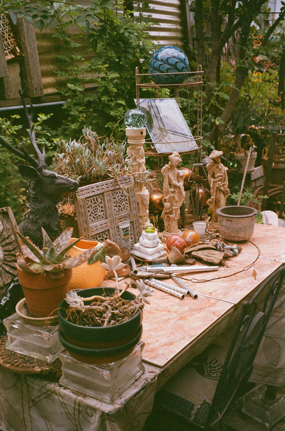 Point and shoot, frame 52 — photograph by Pascale Arahia