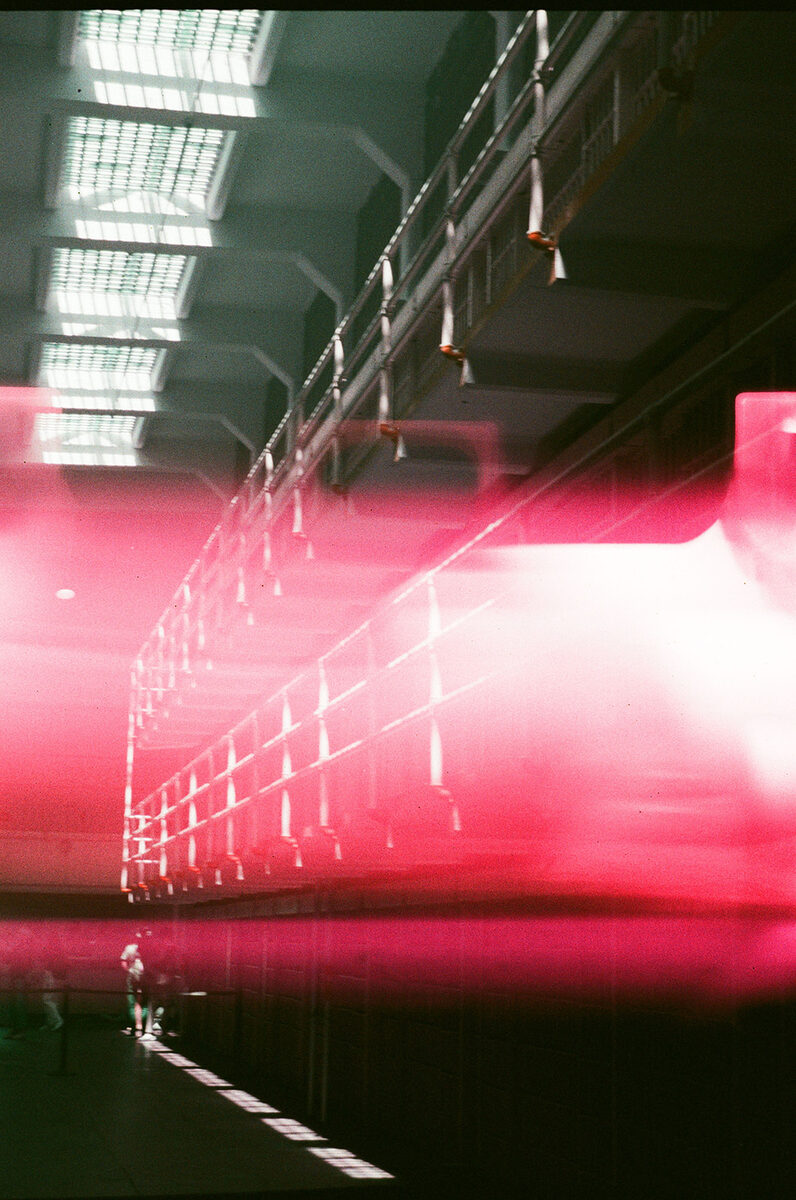 Film photograph from the Velvet Oracle archive
